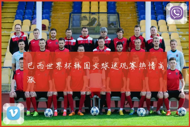 巴西世界杯韩国女球迷观赛热情高涨